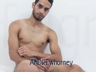 ANDREWhorney