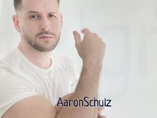 AaronSchulz