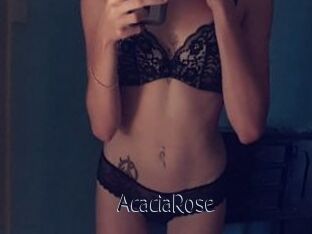 AcaciaRose