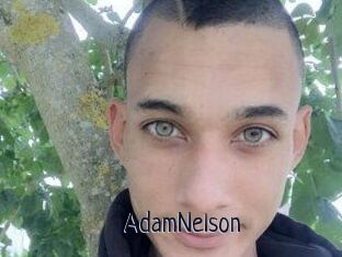 Adam_Nelson