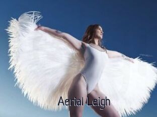 Aerial_Leigh