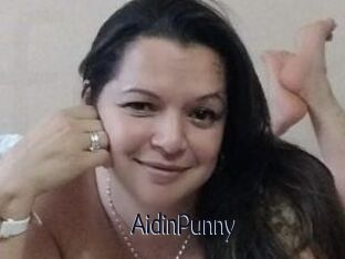 AidinPunny