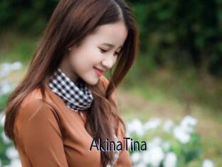 AkinaTina