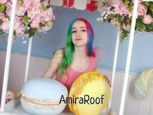AmiraRoof