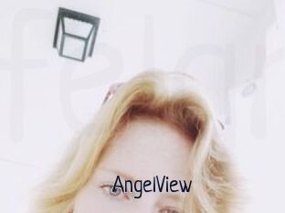 AngelView