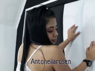 Antonellarosen