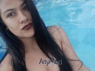 AnyMeel