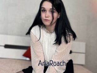 AriaRoach