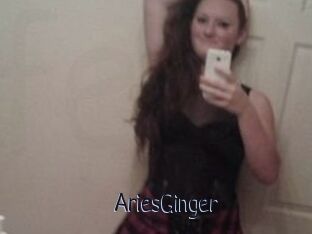 AriesGinger