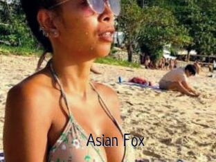Asian_Fox