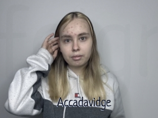 Accadavidge