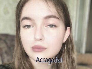 Accagodsil