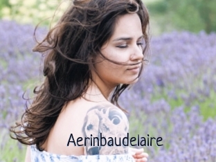 Aerinbaudelaire
