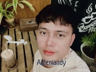 Aidenlandy