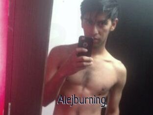 Alejburning