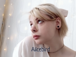 Alicebird