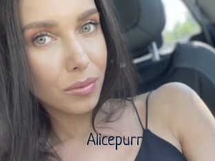 Alicepurr