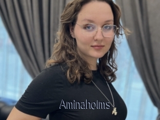 Aminaholms