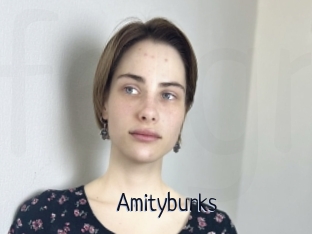 Amityburks