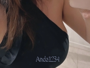 Anda1234