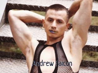 Andrew_falcon