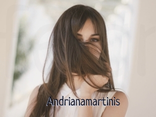 Andrianamartinis