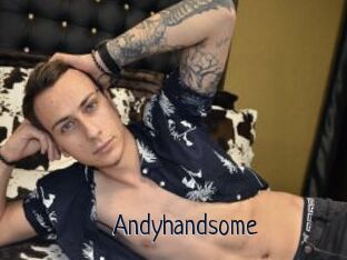 Andyhandsome