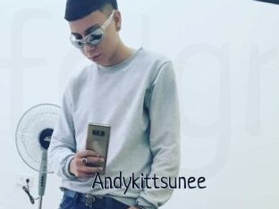 Andykittsunee