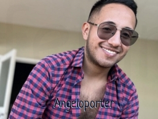 Angeloporter