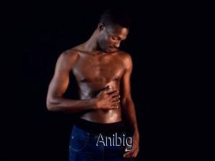 Anibig