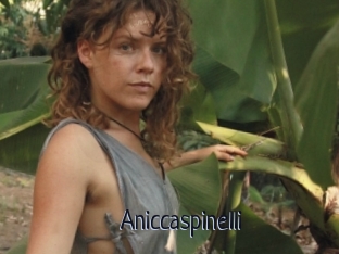 Aniccaspinelli