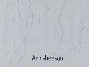 Annisbeeson