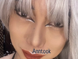 Anntook