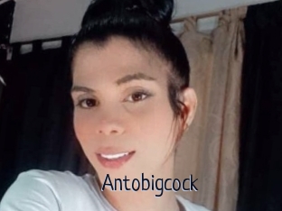 Antobigcock