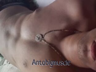 Antobigmuscle