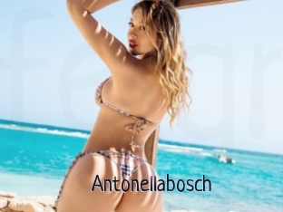 Antonellabosch