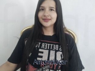 Antonellagar