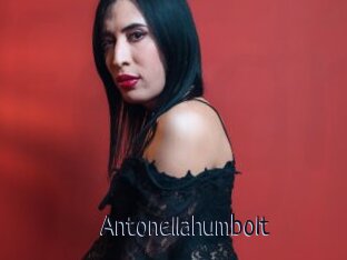Antonellahumbolt