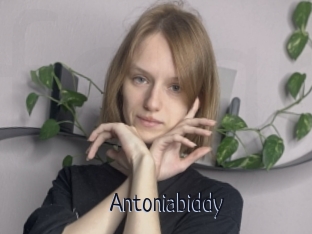 Antoniabiddy