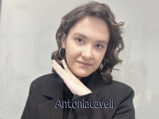 Antoniacavell
