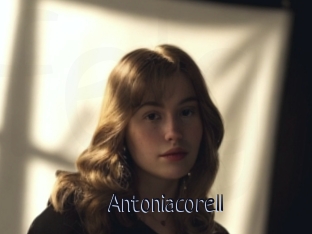 Antoniacorell