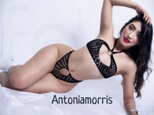 Antoniamorris
