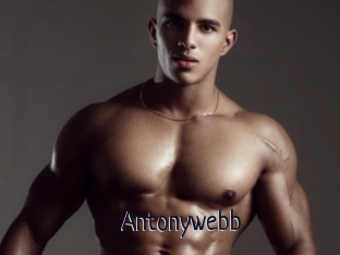 Antonywebb