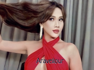 Aravellour