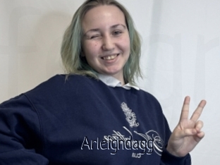 Arleighdagg