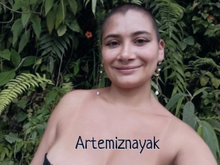 Artemiznayak