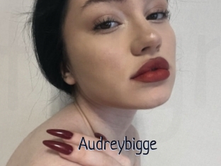 Audreybigge
