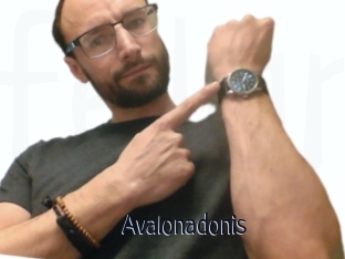 Avalonadonis
