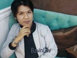 BavinGav
