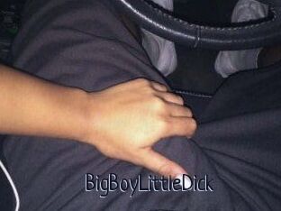 BigBoyLittleDick